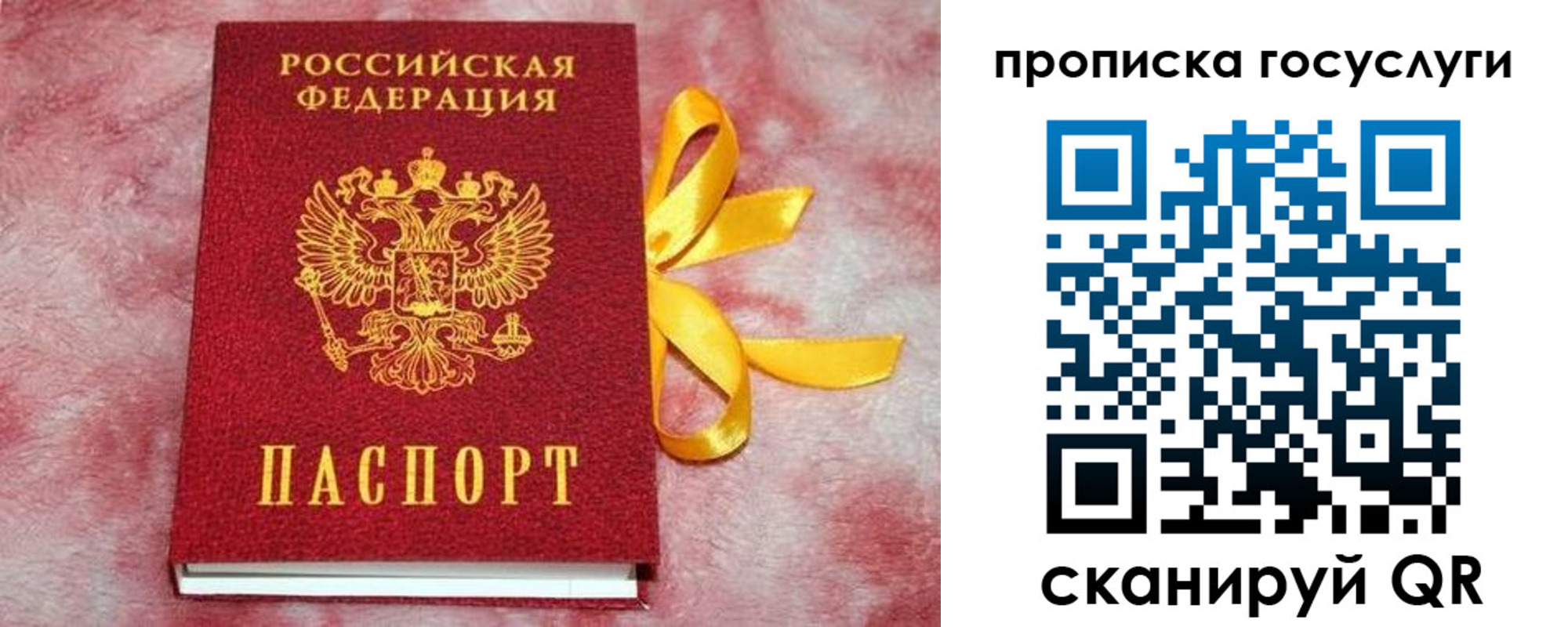 прописка законно в Мурманской области
